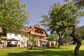 Гостиница Hotel Edelhof, Тарвизио